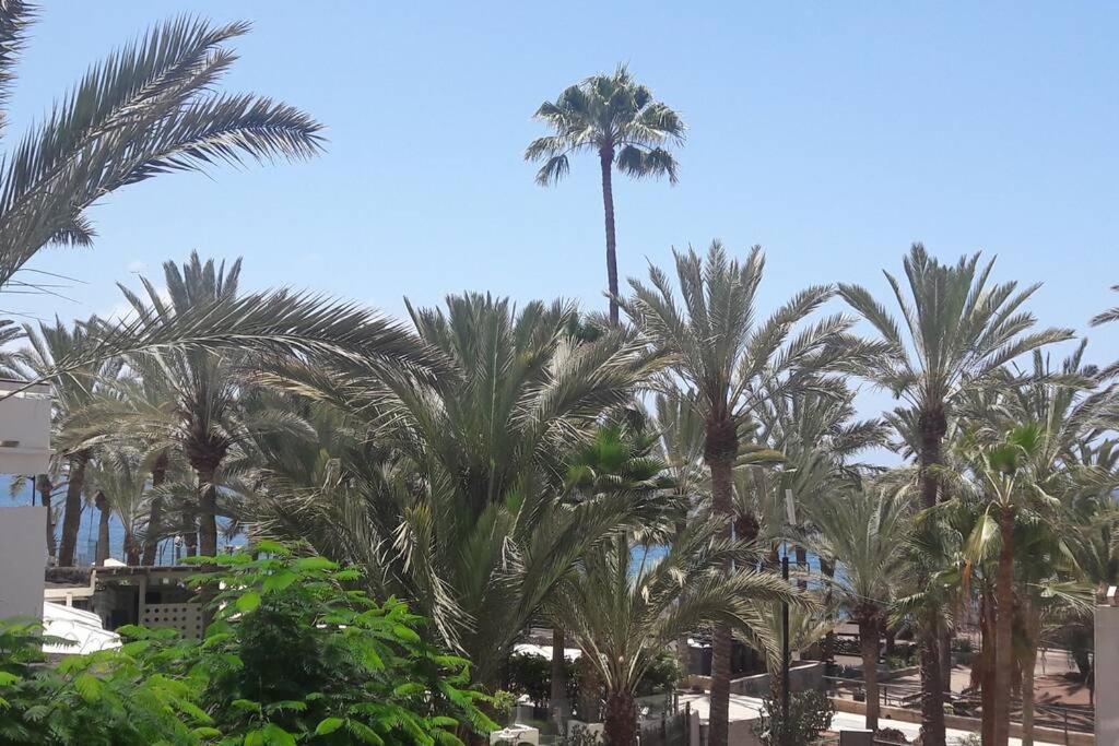 Guayero, Bel appartement à 50m de la mer Los Cristianos  Esterno foto